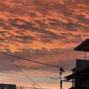 ヒメ日記 2025/11/02 17:05 投稿 かよ 千葉柏ちゃんこ