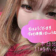 ヒメ日記 2025/11/12 08:43 投稿 かよ 千葉柏ちゃんこ