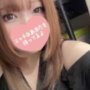 ヒメ日記 2025/11/14 16:11 投稿 かよ 千葉柏ちゃんこ