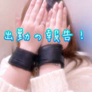 ヒメ日記 2025/11/17 16:04 投稿 かよ 千葉柏ちゃんこ