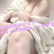 ヒメ日記 2025/11/22 10:12 投稿 かよ 千葉柏ちゃんこ