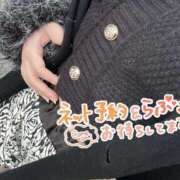 ヒメ日記 2025/11/23 16:36 投稿 かよ 千葉柏ちゃんこ