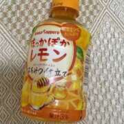 ヒメ日記 2025/12/10 19:13 投稿 かよ 千葉柏ちゃんこ