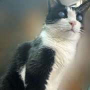 ヒメ日記 2025/12/22 11:41 投稿 かよ 千葉柏ちゃんこ