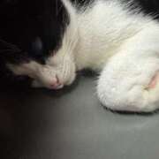 ヒメ日記 2026/01/12 10:33 投稿 かよ 千葉柏ちゃんこ