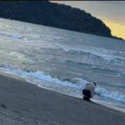 ヒメ日記 2026/01/19 21:16 投稿 かよ 千葉柏ちゃんこ