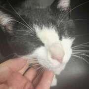 かよ いつぶりですかね？！ 千葉柏ちゃんこ