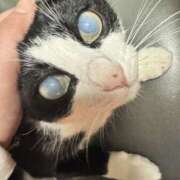 ヒメ日記 2026/02/05 06:37 投稿 かよ 千葉柏ちゃんこ