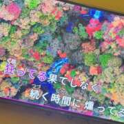 ヒメ日記 2026/02/13 13:44 投稿 かよ 千葉柏ちゃんこ