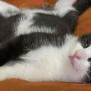 ヒメ日記 2026/02/17 09:35 投稿 かよ 千葉柏ちゃんこ