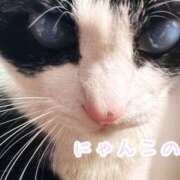 ヒメ日記 2026/02/22 16:36 投稿 かよ 千葉柏ちゃんこ