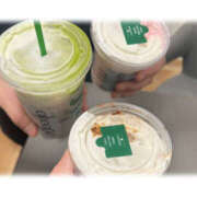 ヒメ日記 2026/03/06 13:09 投稿 かよ 千葉柏ちゃんこ