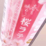 ヒメ日記 2026/03/11 15:24 投稿 かよ 千葉柏ちゃんこ