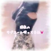 ヒメ日記 2026/03/20 21:59 投稿 かよ 千葉柏ちゃんこ