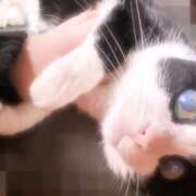 ヒメ日記 2026/03/23 11:27 投稿 かよ 千葉柏ちゃんこ