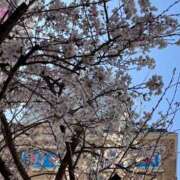 ヒメ日記 2026/03/24 15:32 投稿 かよ 千葉柏ちゃんこ