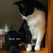 ヒメ日記 2026/03/27 15:50 投稿 かよ 千葉柏ちゃんこ