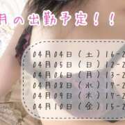 ヒメ日記 2026/04/02 20:34 投稿 かよ 千葉柏ちゃんこ