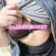 ヒメ日記 2026/04/04 16:58 投稿 かよ 千葉柏ちゃんこ