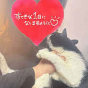 ヒメ日記 2026/04/13 06:34 投稿 かよ 千葉柏ちゃんこ