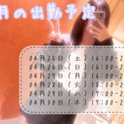 ヒメ日記 2026/04/24 18:17 投稿 かよ 千葉柏ちゃんこ