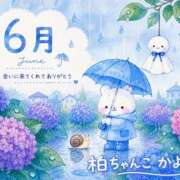 かよ 感謝 千葉柏ちゃんこ