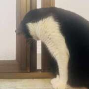 ヒメ日記 2026/09/07 18:19 投稿 かよ 千葉柏ちゃんこ