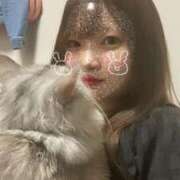 ヒメ日記 2025/07/17 10:42 投稿 みれい OKINI立川