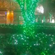 ヒメ日記 2025/11/16 21:37 投稿 立花まゆ ミセスの癒しエステ