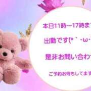 ヒメ日記 2025/11/21 11:19 投稿 立花まゆ ミセスの癒しエステ