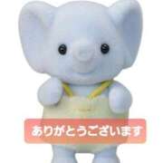 ヒメ日記 2025/12/12 19:04 投稿 立花まゆ ミセスの癒しエステ