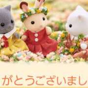 ヒメ日記 2025/12/30 20:50 投稿 立花まゆ ミセスの癒しエステ