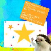 ヒメ日記 2026/01/21 10:48 投稿 立花まゆ ミセスの癒しエステ