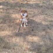 ヒメ日記 2025/10/25 08:32 投稿 うみ ジャパンクラブ富士