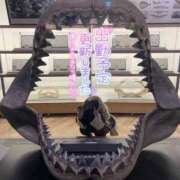 ヒメ日記 2025/05/11 10:44 投稿 川西ありさ 五反田ウルトラファンタジー