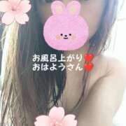 ヒメ日記 2025/05/20 08:44 投稿 ゆう 水戸人妻花壇