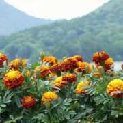 ヒメ日記 2025/06/02 06:10 投稿 つむぎ ヴィヴィッド・クルーマダム・セカンドヴァージン十三店