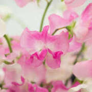 ヒメ日記 2025/06/09 06:46 投稿 つむぎ ヴィヴィッド・クルーマダム・セカンドヴァージン十三店