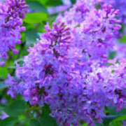 ヒメ日記 2025/06/12 06:09 投稿 つむぎ ヴィヴィッド・クルーマダム・セカンドヴァージン十三店