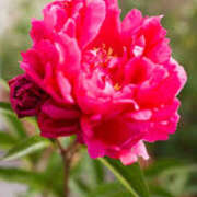 ヒメ日記 2025/06/16 05:53 投稿 つむぎ ヴィヴィッド・クルーマダム・セカンドヴァージン十三店