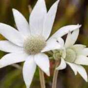 ヒメ日記 2025/06/17 01:03 投稿 つむぎ ヴィヴィッド・クルーマダム・セカンドヴァージン十三店