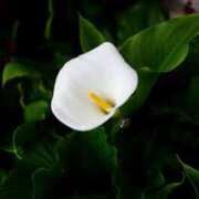 ヒメ日記 2025/06/27 06:05 投稿 つむぎ ヴィヴィッド・クルーマダム・セカンドヴァージン十三店