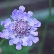 ヒメ日記 2025/06/30 06:08 投稿 つむぎ ヴィヴィッド・クルーマダム・セカンドヴァージン十三店