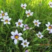 ヒメ日記 2025/07/05 08:51 投稿 つむぎ ヴィヴィッド・クルーマダム・セカンドヴァージン十三店