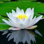 ヒメ日記 2025/07/06 06:30 投稿 つむぎ ヴィヴィッド・クルーマダム・セカンドヴァージン十三店