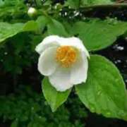 ヒメ日記 2025/07/08 07:20 投稿 つむぎ ヴィヴィッド・クルーマダム・セカンドヴァージン十三店