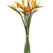 ヒメ日記 2025/07/09 23:01 投稿 つむぎ ヴィヴィッド・クルーマダム・セカンドヴァージン十三店