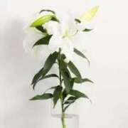 ヒメ日記 2025/07/10 06:11 投稿 つむぎ ヴィヴィッド・クルーマダム・セカンドヴァージン十三店