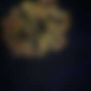 ヒメ日記 2025/09/07 20:32 投稿 つむぎ ヴィヴィッド・クルーマダム・セカンドヴァージン十三店