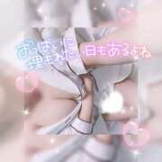 ヒメ日記 2025/06/26 04:28 投稿 みこ ラブリップ所沢